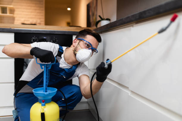 Best Wasp Removal Services  in Wrens, GA