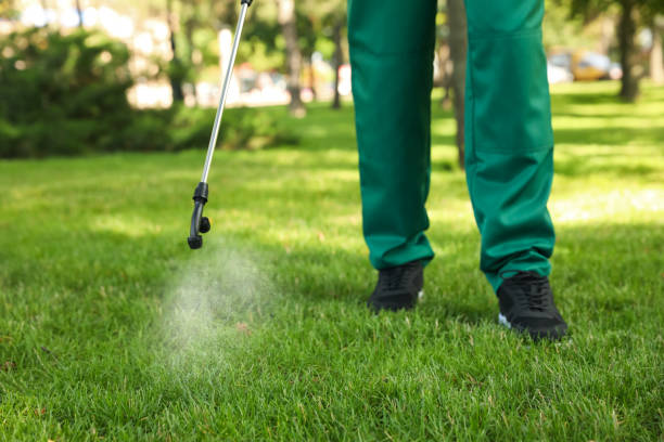 Flea Control Services in Wrens, GA