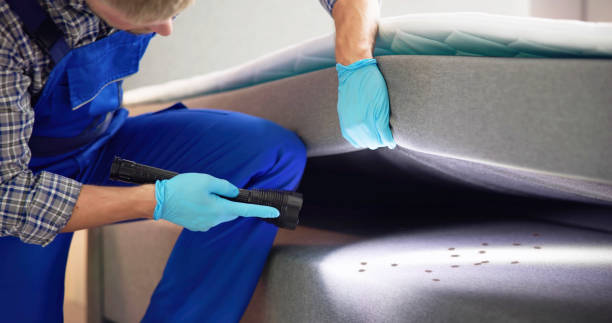 Best Affordable Pest Control Services  in Wrens, GA