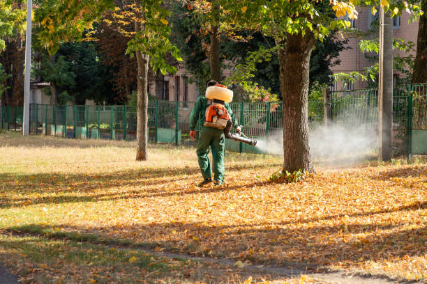 Best Pest Removal Services  in Wrens, GA