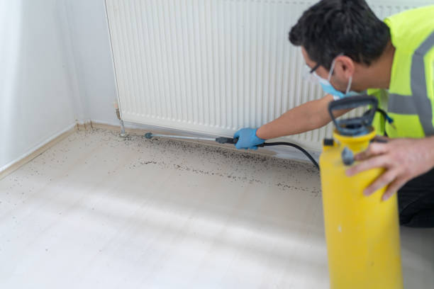 Professional Pest Control in Wrens, GA